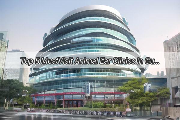 Top 5 MustVisit Animal Ear Clinics in Guangzhou A Pawsitively Perfect Healthcare Guide